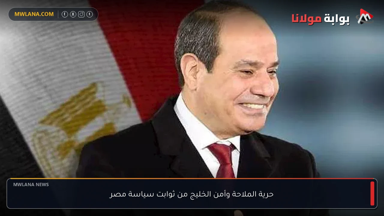 حرية الملاحة وأمن الخليج من ثوابت سياسة مصر