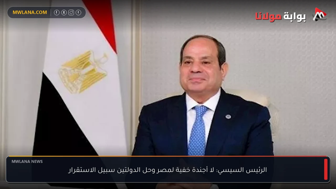 الرئيس السيسي: لا أجندة خفية لمصر وحل الدولتين سبيل الاستقرار