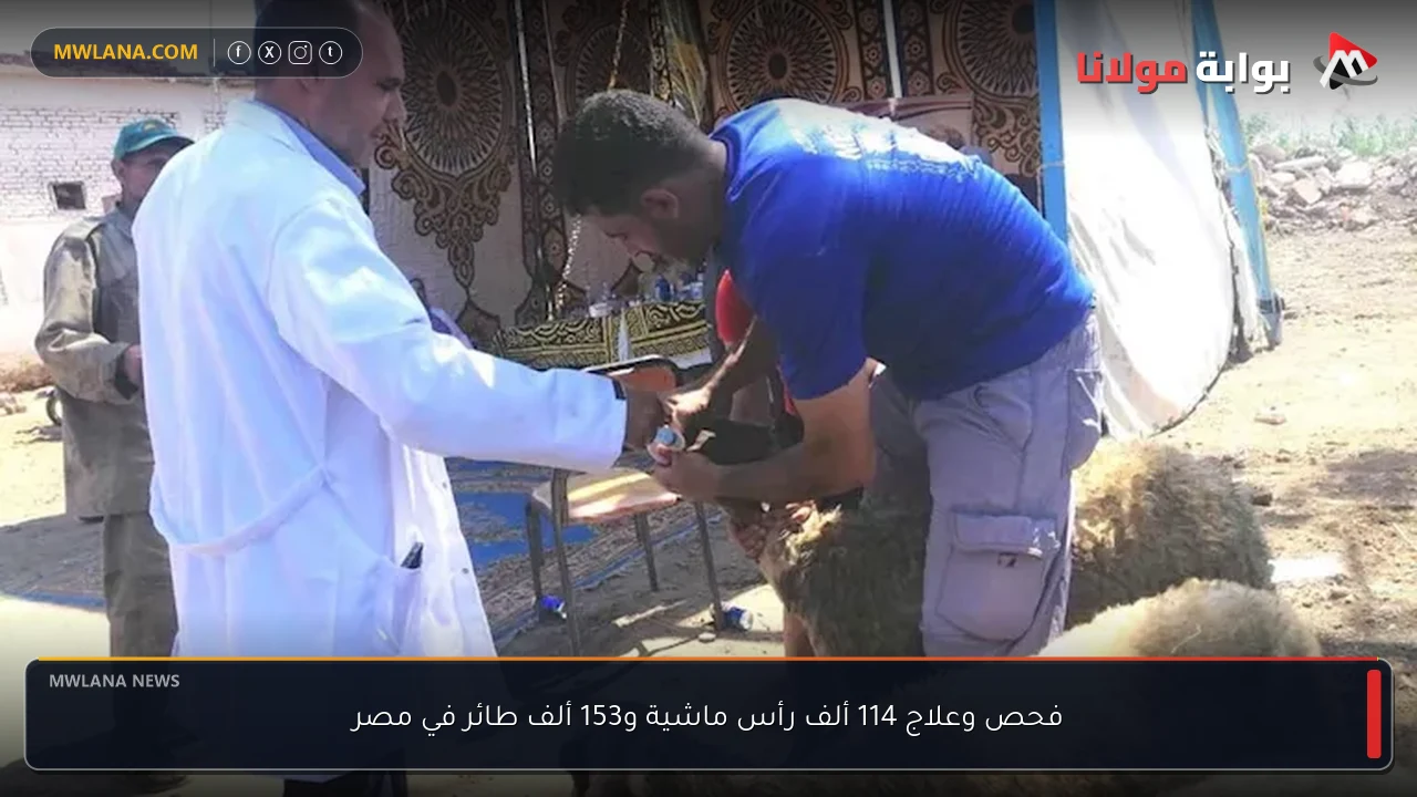 فحص وعلاج 114 ألف رأس ماشية و153 ألف طائر في مصر