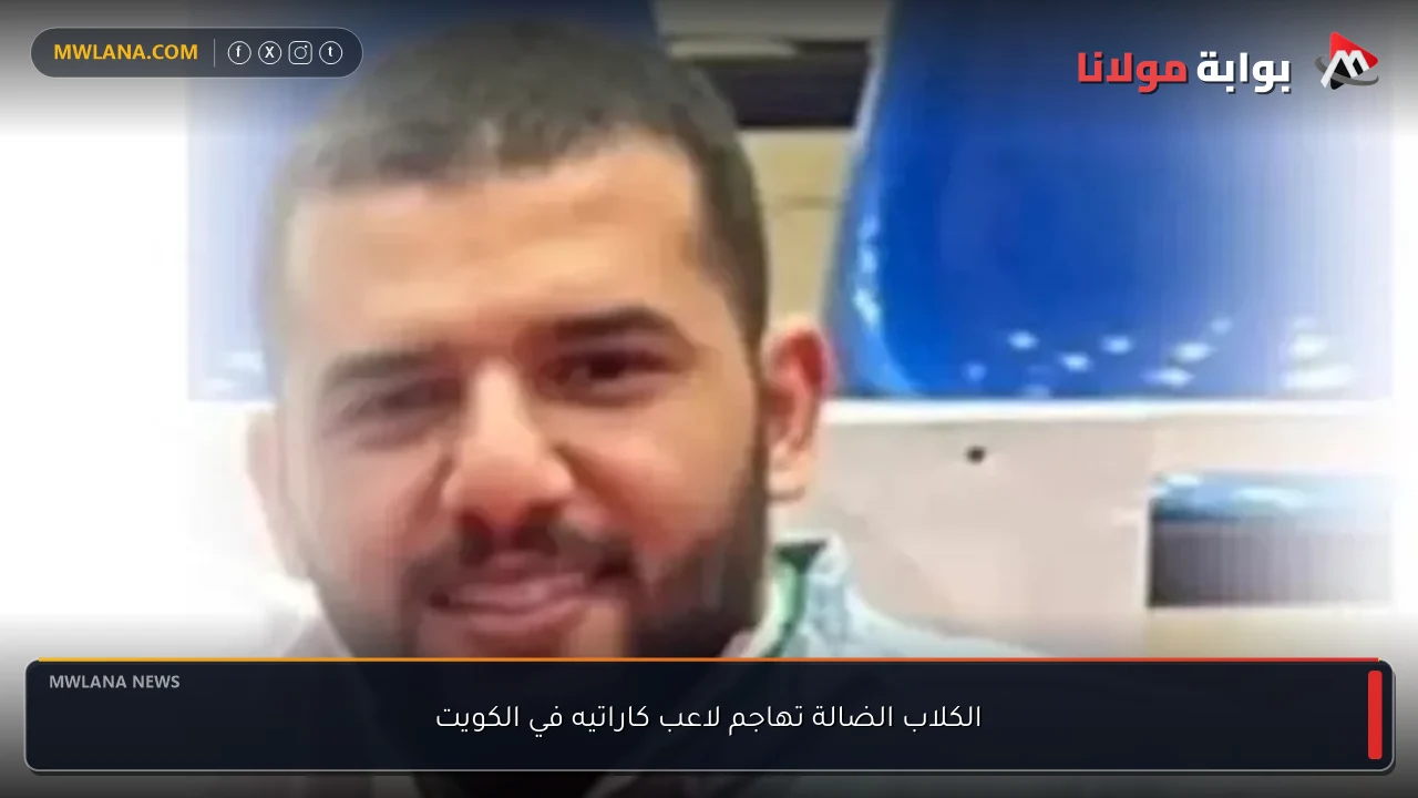الكلاب الضالة تهاجم لاعب كاراتيه في الكويت