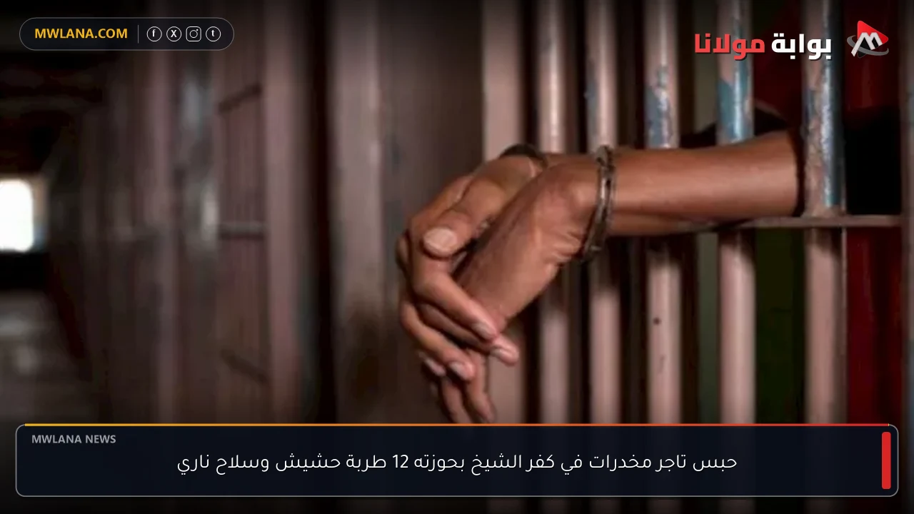 حبس تاجر مخدرات في كفر الشيخ بحوزته 12 طربة حشيش وسلاح ناري