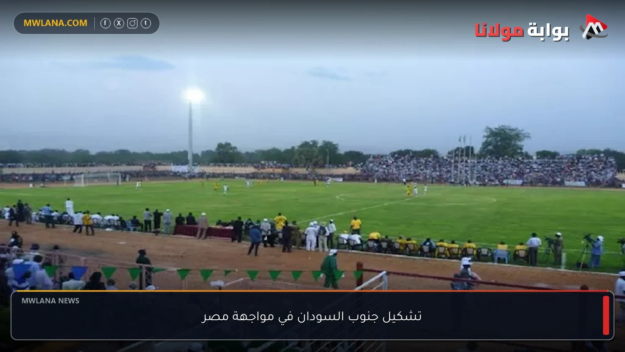 تشكيل جنوب السودان في مواجهة مصر