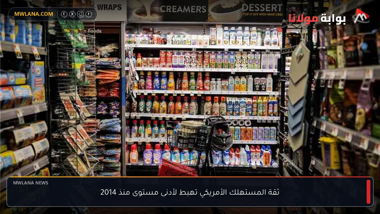 ثقة المستهلك الأمريكي تهبط لأدنى مستوى منذ 2014