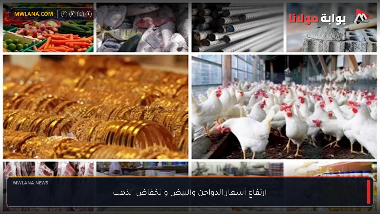 ارتفاع أسعار الدواجن والبيض وانخفاض الذهب