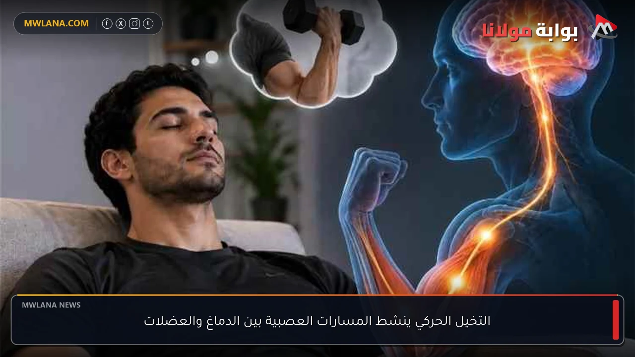 التخيل الحركي ينشط المسارات العصبية بين الدماغ والعضلات