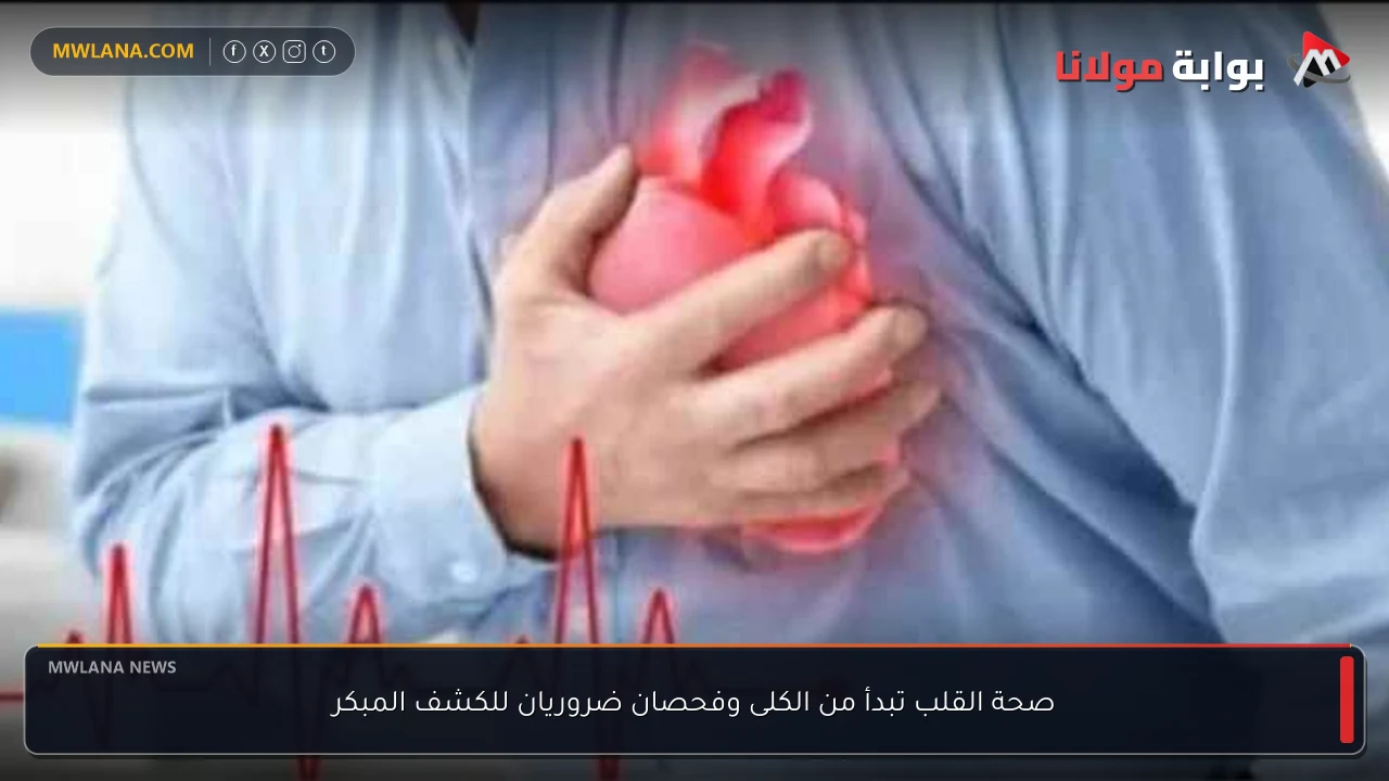 صحة القلب تبدأ من الكلى وفحصان ضروريان للكشف المبكر