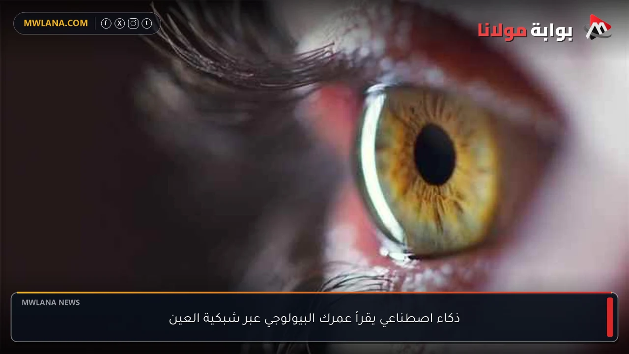 ذكاء اصطناعي يقرأ عمرك البيولوجي عبر شبكية العين