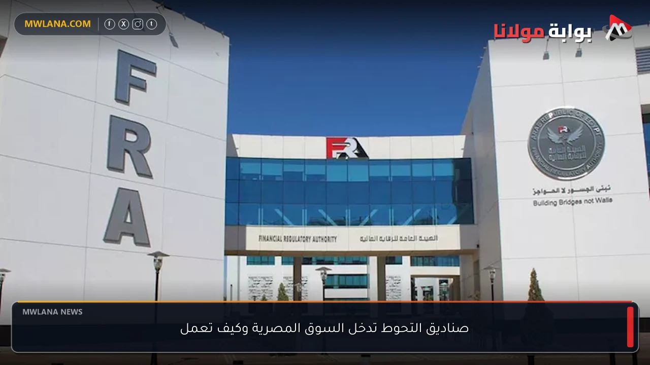 صناديق التحوط تدخل السوق المصرية وكيف تعمل