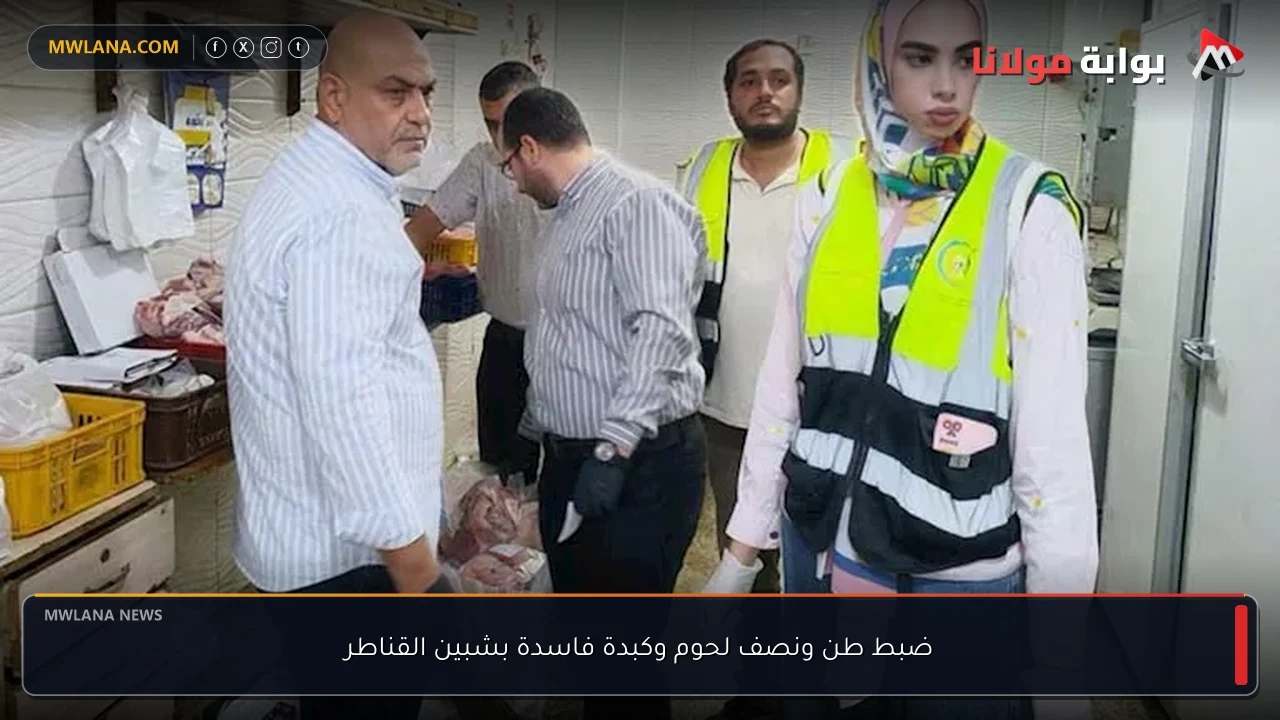 ضبط طن ونصف لحوم وكبدة فاسدة بشبين القناطر