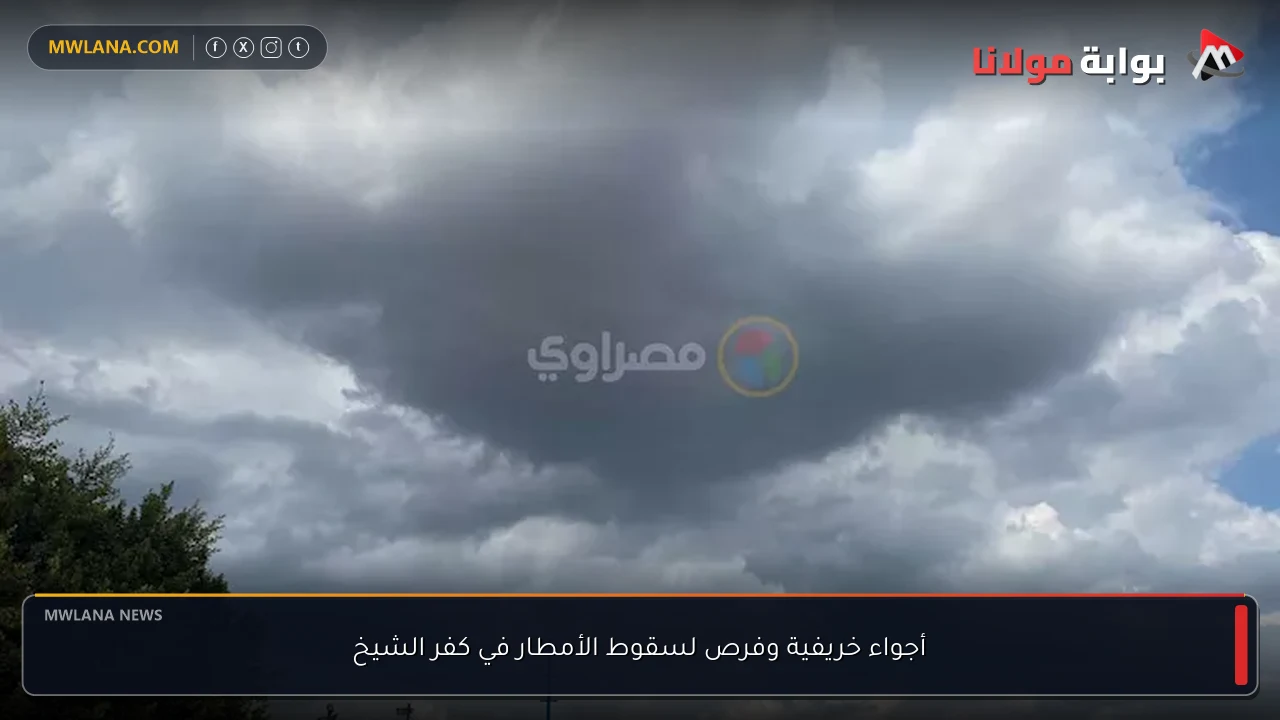 أجواء خريفية وفرص لسقوط الأمطار في كفر الشيخ