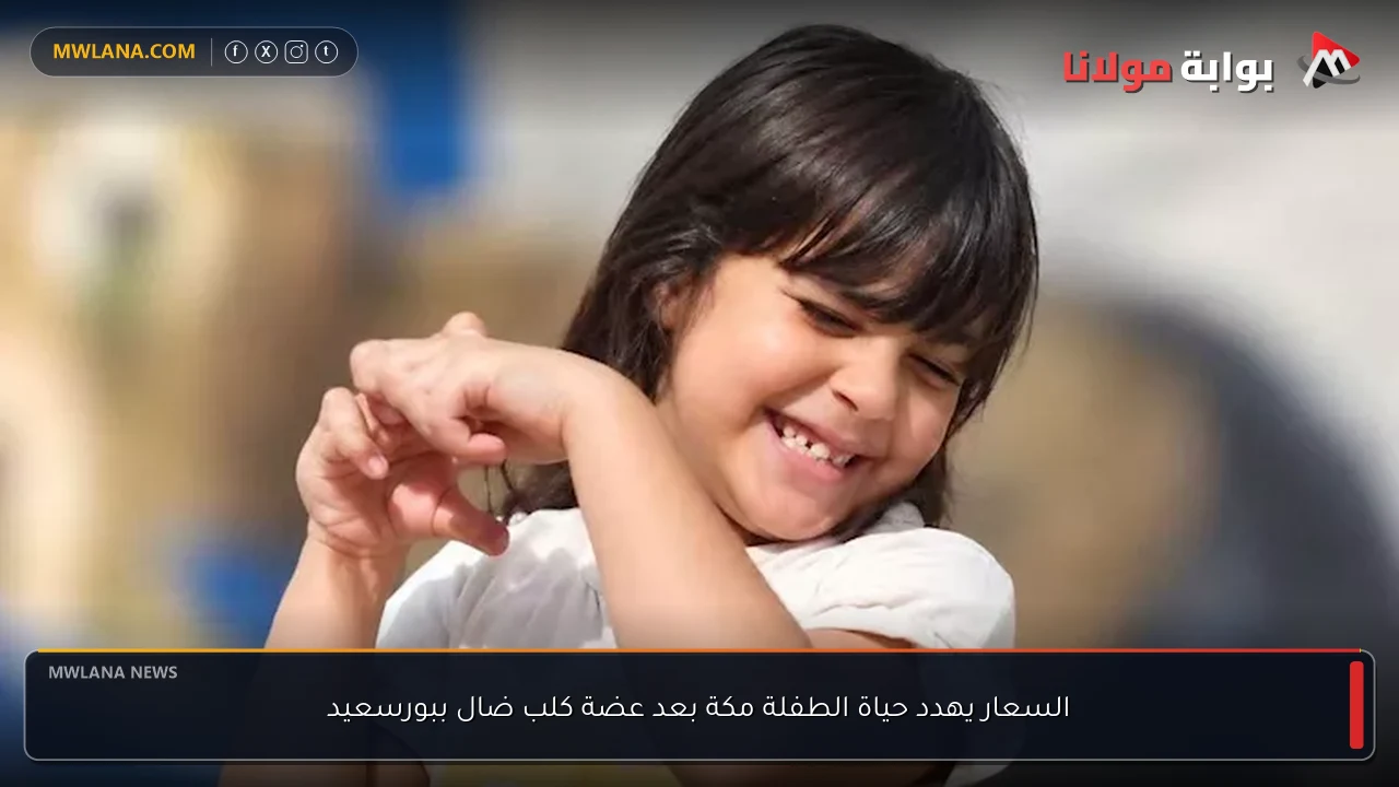 السعار يهدد حياة الطفلة مكة بعد عضة كلب ضال ببورسعيد