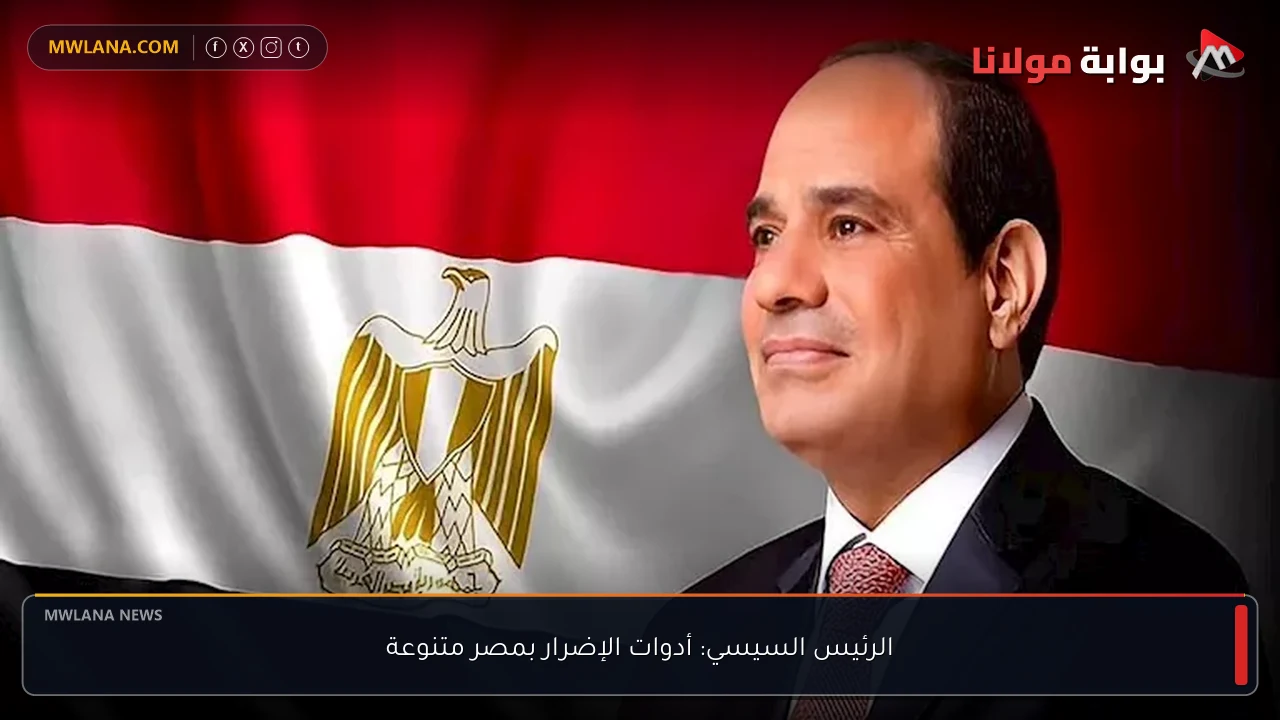 الرئيس السيسي: أدوات الإضرار بمصر متنوعة