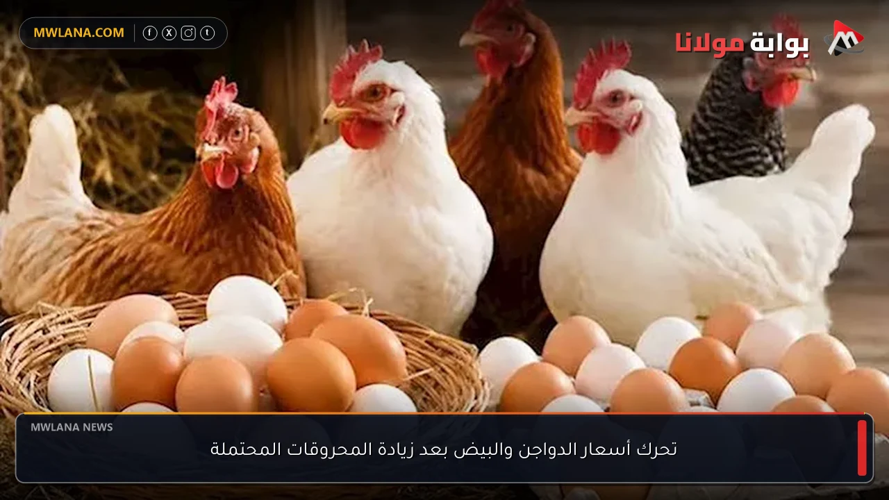 تحرك أسعار الدواجن والبيض بعد زيادة المحروقات المحتملة