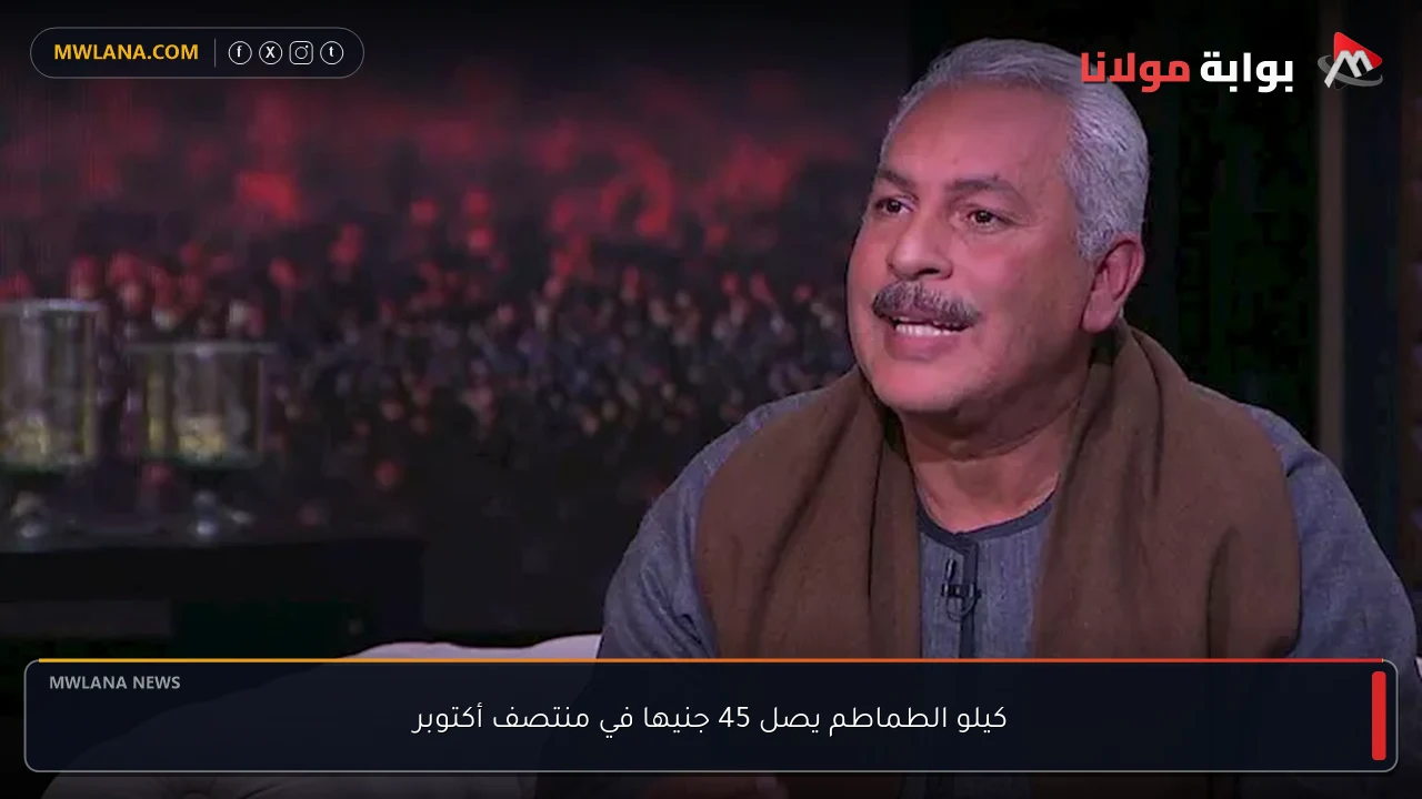كيلو الطماطم يصل 45 جنيها في منتصف أكتوبر