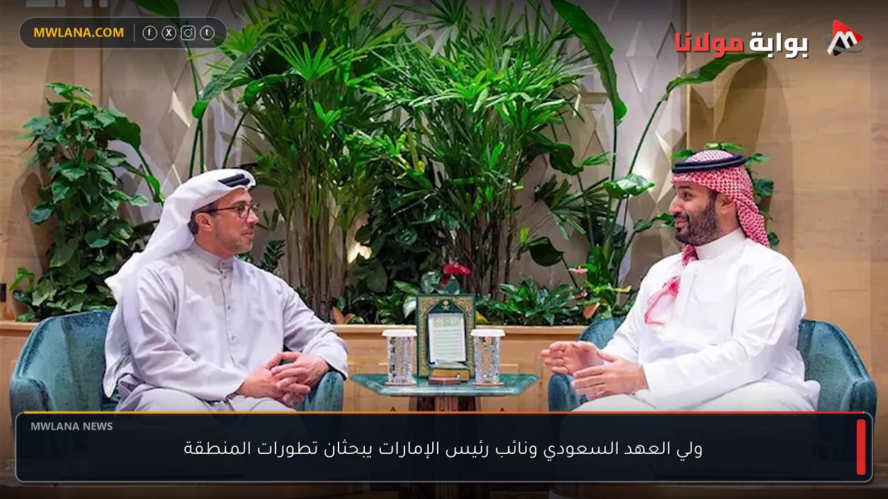 ولي العهد السعودي ونائب رئيس الإمارات يبحثان تطورات المنطقة
