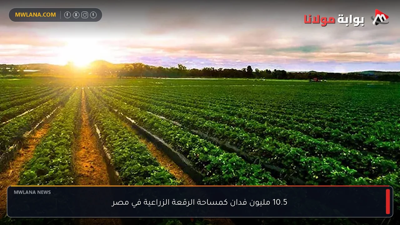 10.5 مليون فدان كمساحة الرقعة الزراعية في مصر