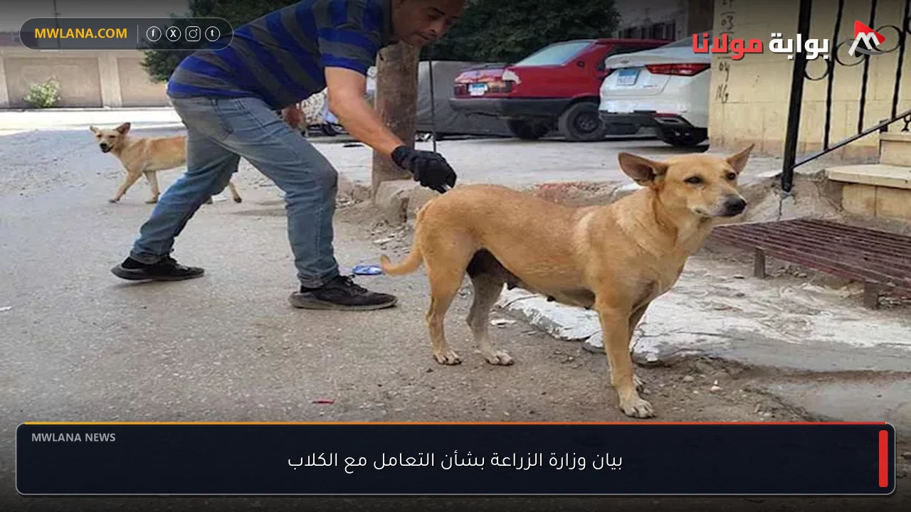 بيان وزارة الزراعة بشأن التعامل مع الكلاب