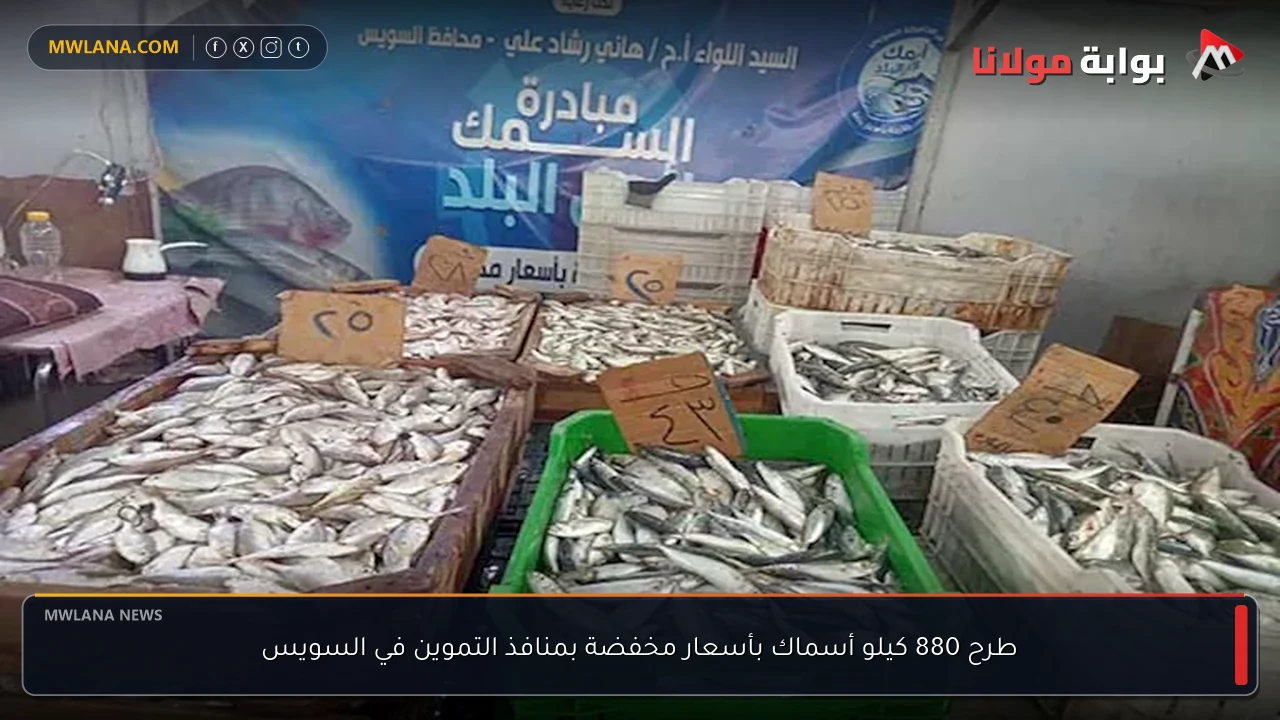 طرح 880 كيلو أسماك بأسعار مخفضة بمنافذ التموين في السويس