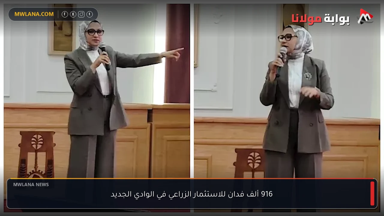 916 ألف فدان للاستثمار الزراعي في الوادي الجديد
