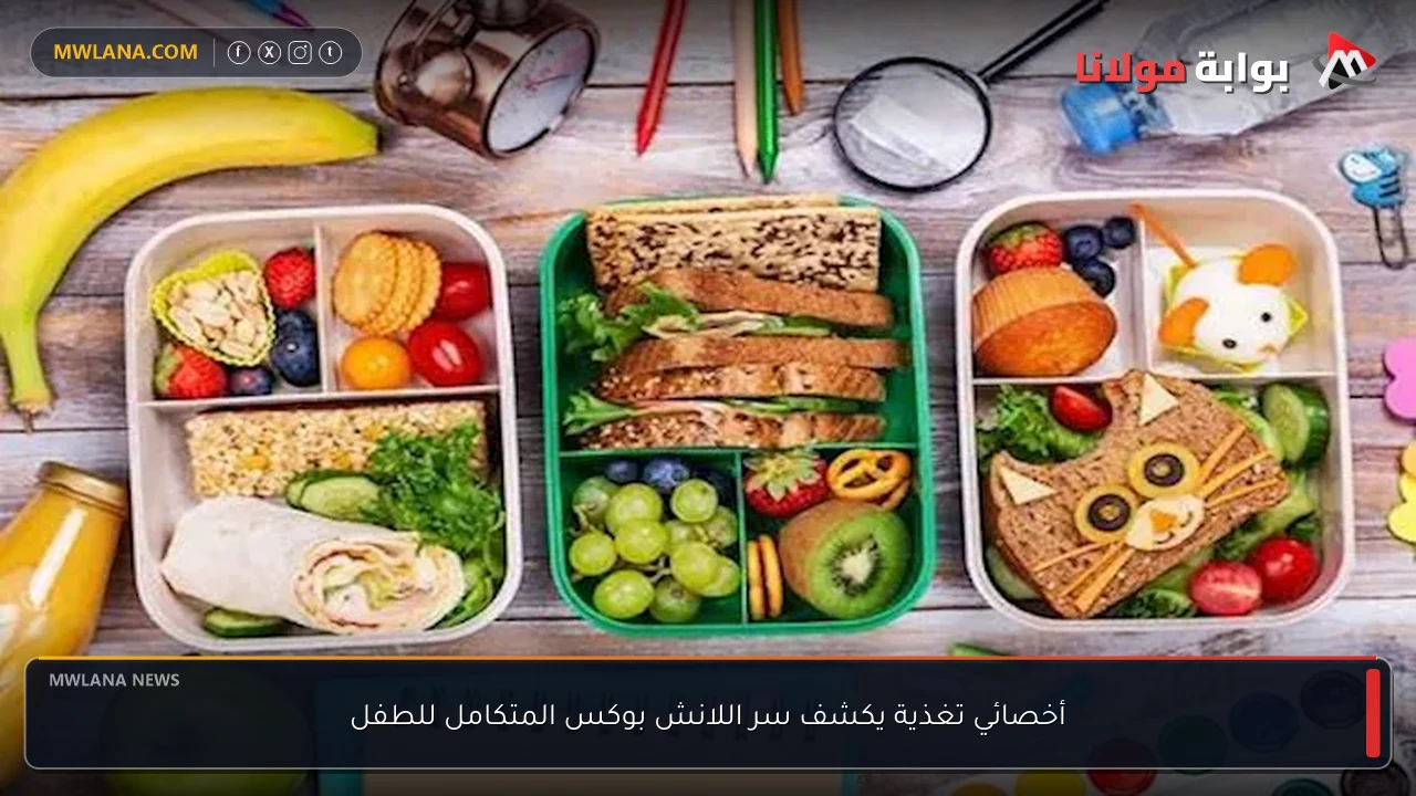 أخصائي تغذية يكشف سر اللانش بوكس المتكامل للطفل