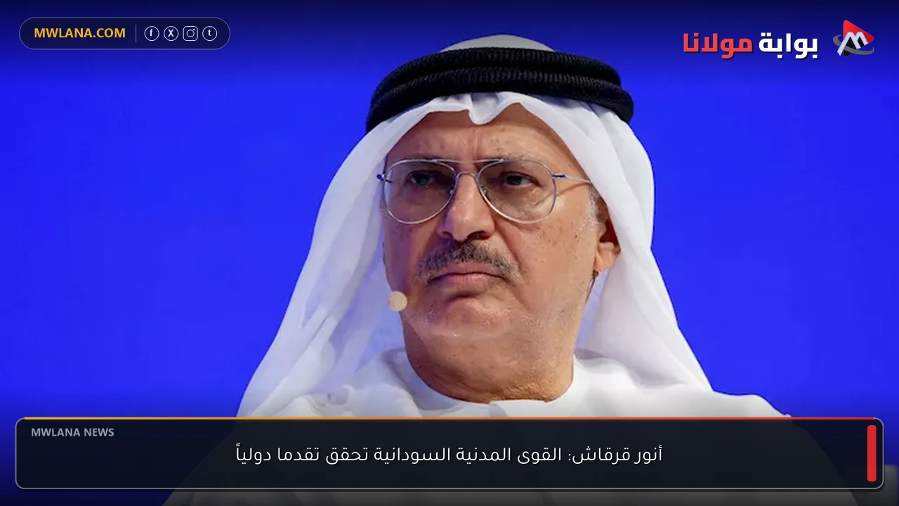 أنور قرقاش: القوى المدنية السودانية تحقق تقدما دولياً