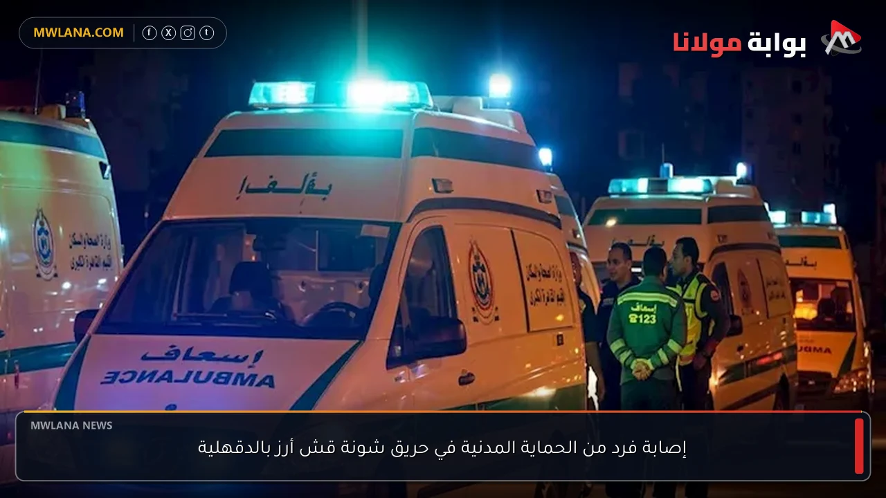 إصابة فرد من الحماية المدنية في حريق شونة قش أرز بالدقهلية