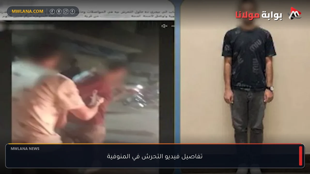 تفاصيل فيديو التحرش في المنوفية