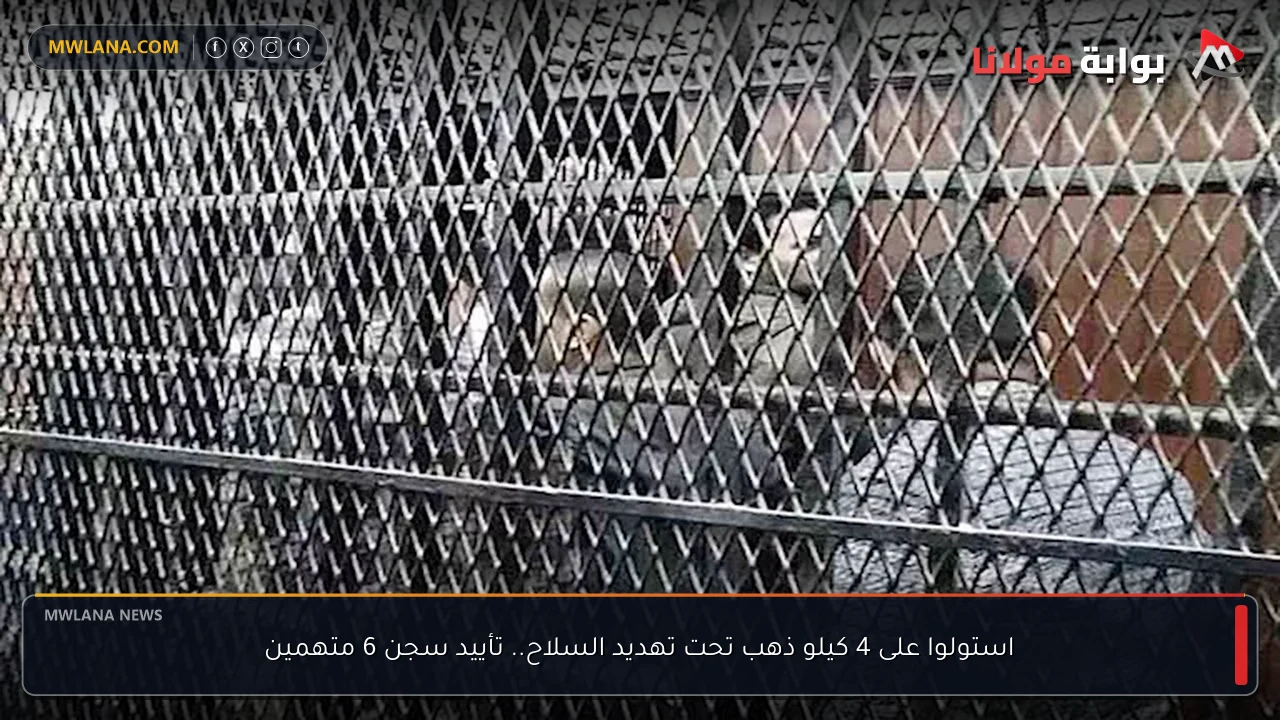 استولوا على 4 كيلو ذهب تحت تهديد السلاح.. تأييد سجن 6 متهمين