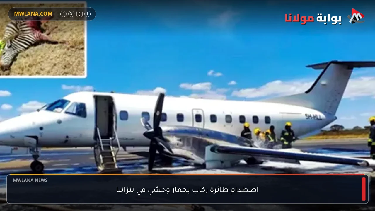 اصطدام طائرة ركاب بحمار وحشي في تنزانيا