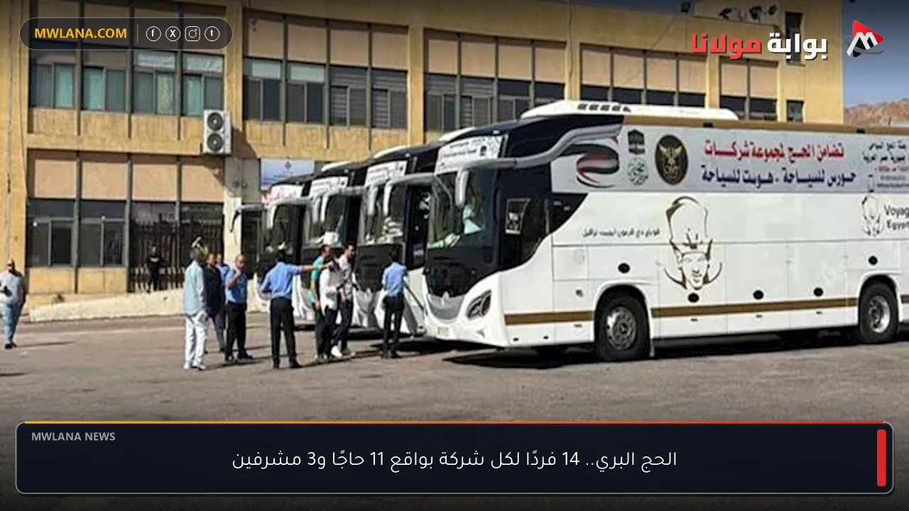الحج البري.. 14 فردًا لكل شركة بواقع 11 حاجًا و3 مشرفين