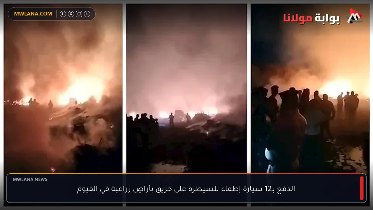 الدفع بـ12 سيارة إطفاء للسيطرة على حريق بأراضٍ زراعية في الفيوم