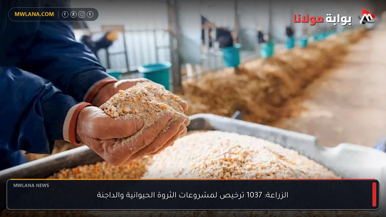 الزراعة: 1037 ترخيص لمشروعات الثروة الحيوانية والداجنة
