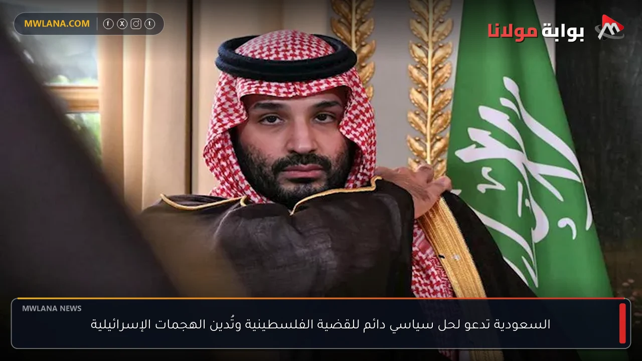 السعودية تدعو لحل سياسي دائم للقضية الفلسطينية وتُدين الهجمات الإسرائيلية