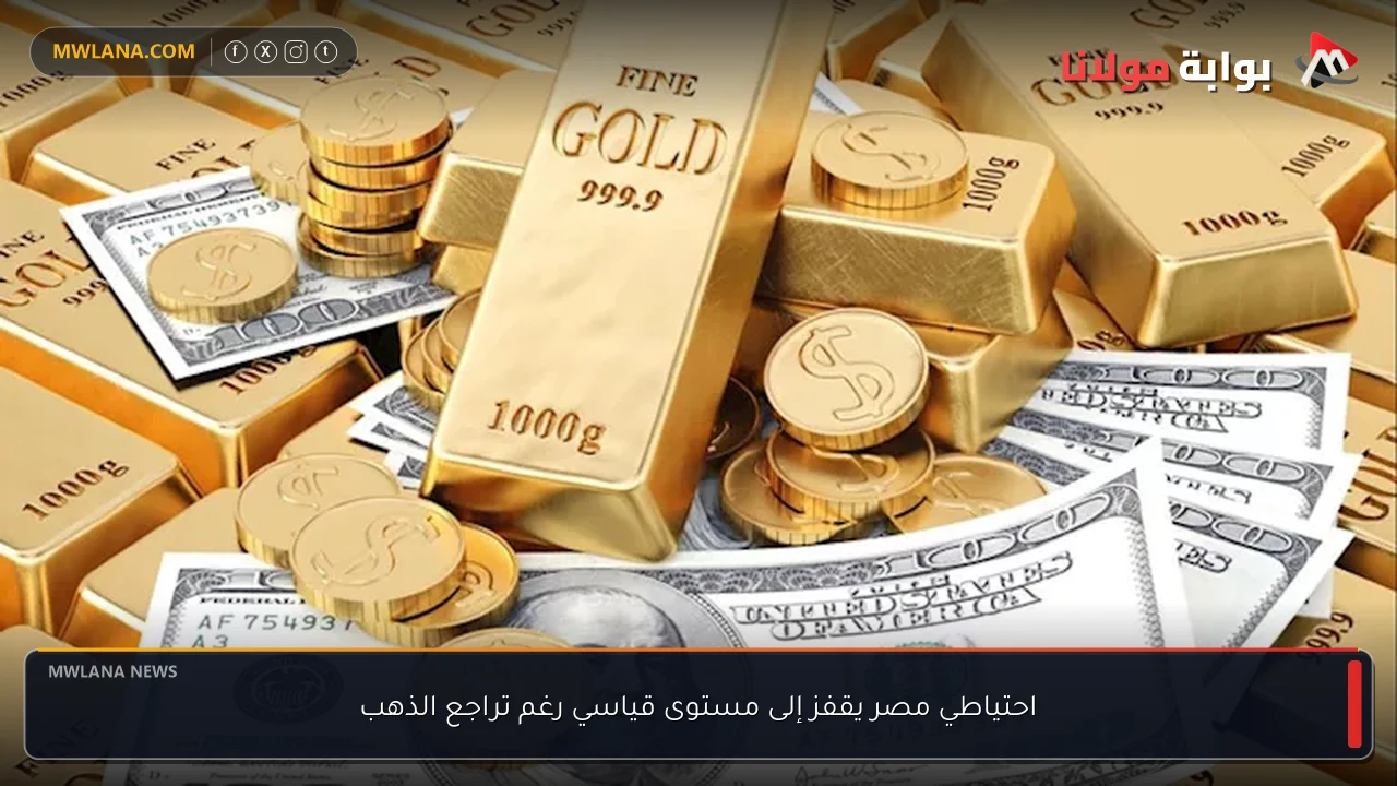 احتياطي مصر يقفز إلى مستوى قياسي رغم تراجع الذهب