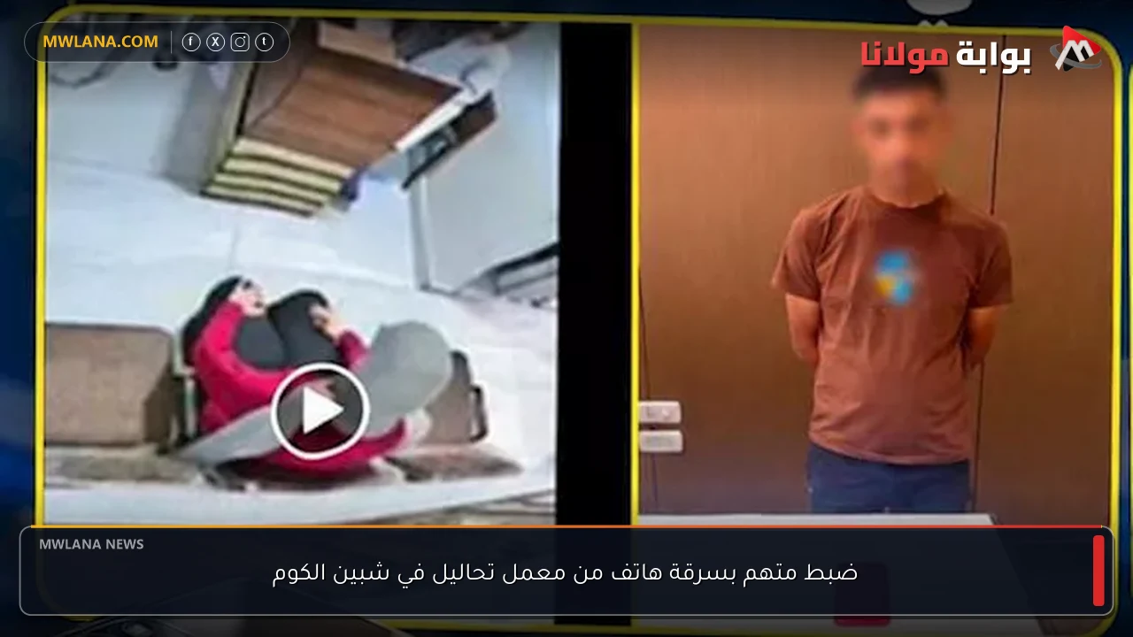 ضبط متهم بسرقة هاتف من معمل تحاليل في شبين الكوم