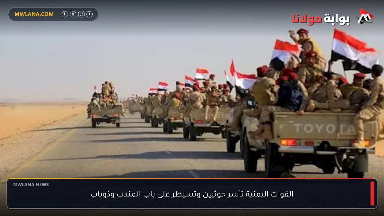 القوات اليمنية تأسر حوثيين وتسيطر على باب المندب وذوباب