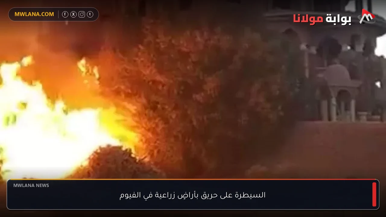 السيطرة على حريق بأراضٍ زراعية في الفيوم