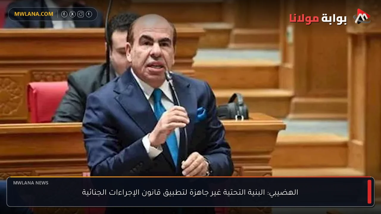 الهضيبي: البنية التحتية غير جاهزة لتطبيق قانون الإجراءات الجنائية