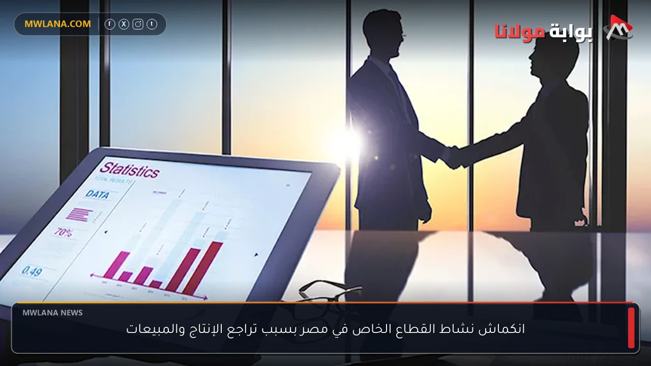 انكماش نشاط القطاع الخاص في مصر بسبب تراجع الإنتاج والمبيعات