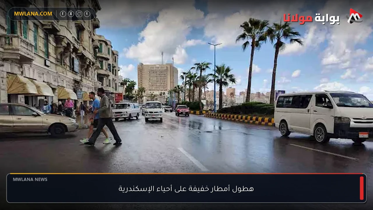 هطول أمطار خفيفة على أحياء الإسكندرية