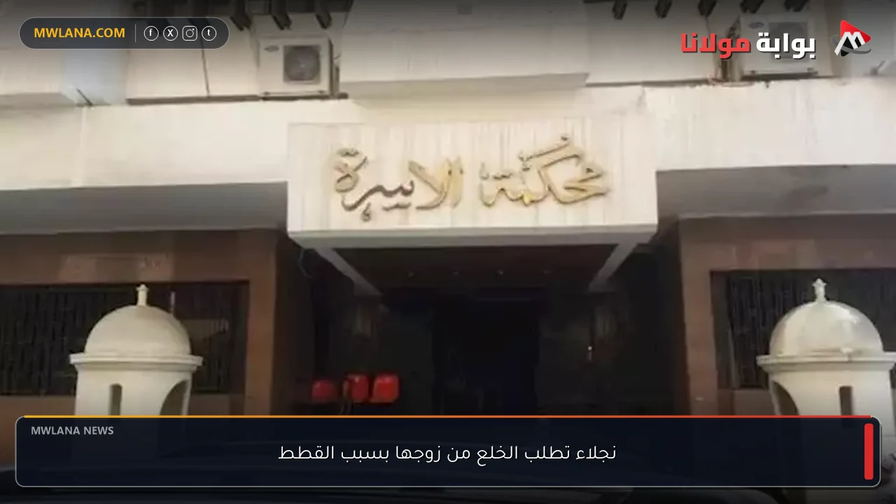 نجلاء تطلب الخلع من زوجها بسبب القطط