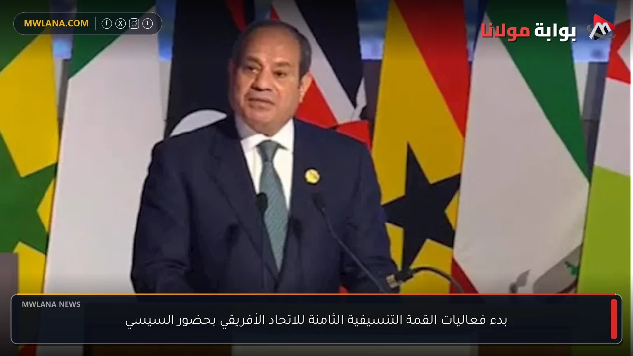 بدء فعاليات القمة التنسيقية الثامنة للاتحاد الأفريقي بحضور السيسي