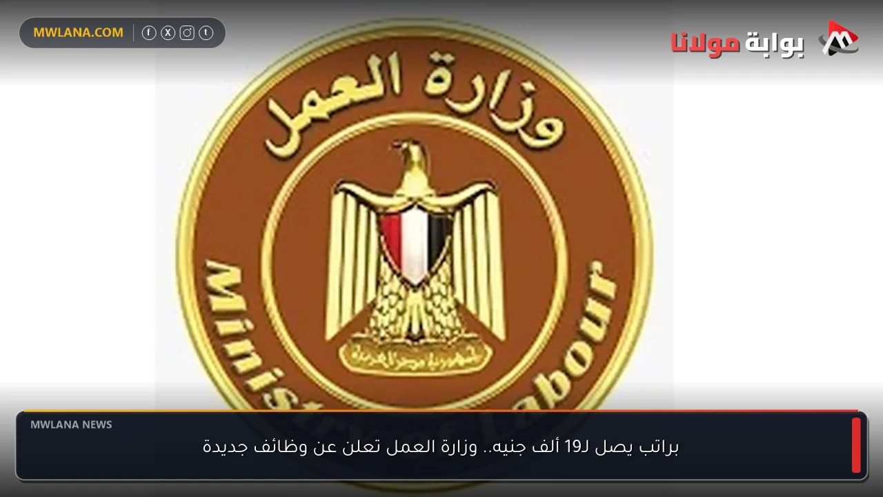 براتب يصل لـ19 ألف جنيه.. وزارة العمل تعلن عن وظائف جديدة