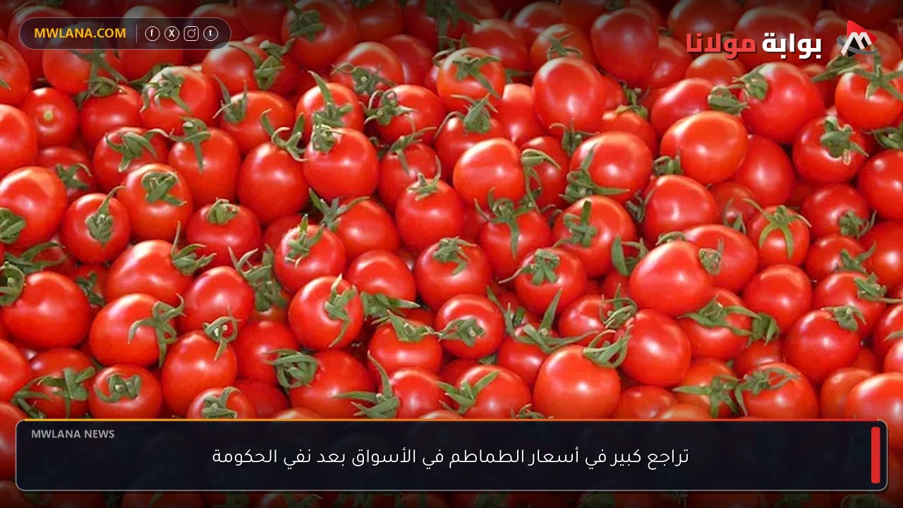 تراجع كبير في أسعار الطماطم في الأسواق بعد نفي الحكومة