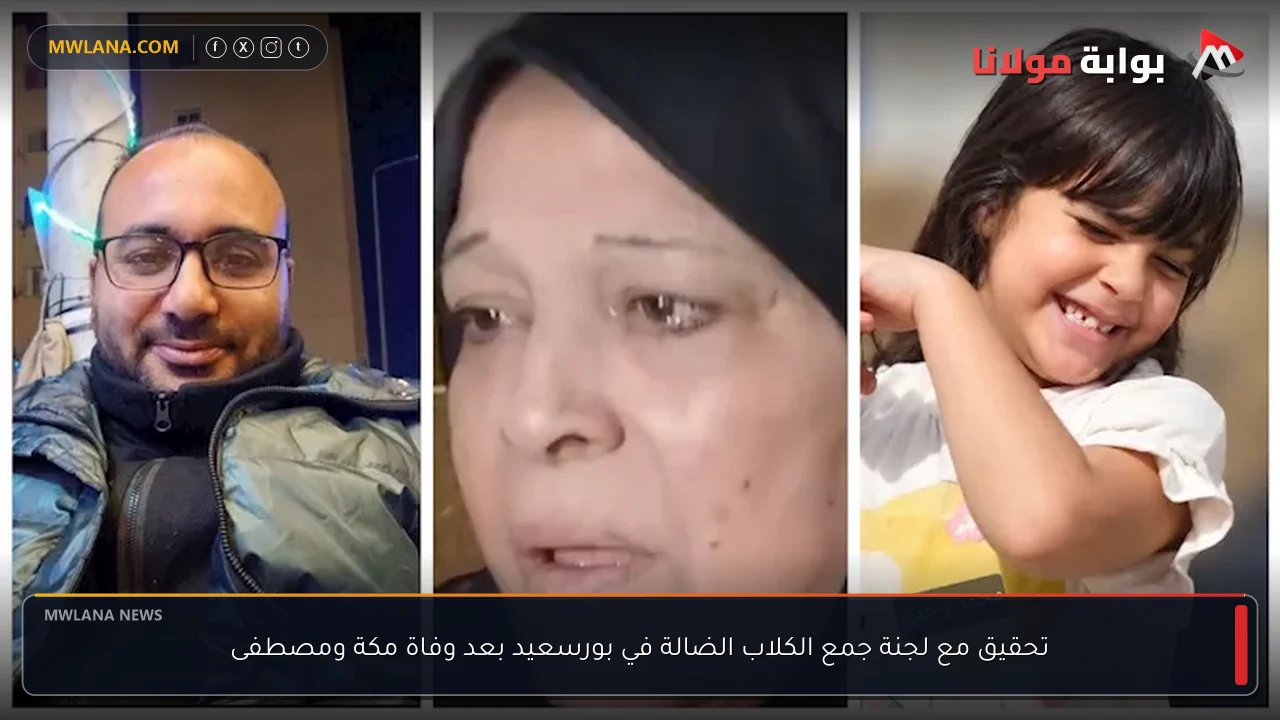 تحقيق مع لجنة جمع الكلاب الضالة في بورسعيد بعد وفاة مكة ومصطفى