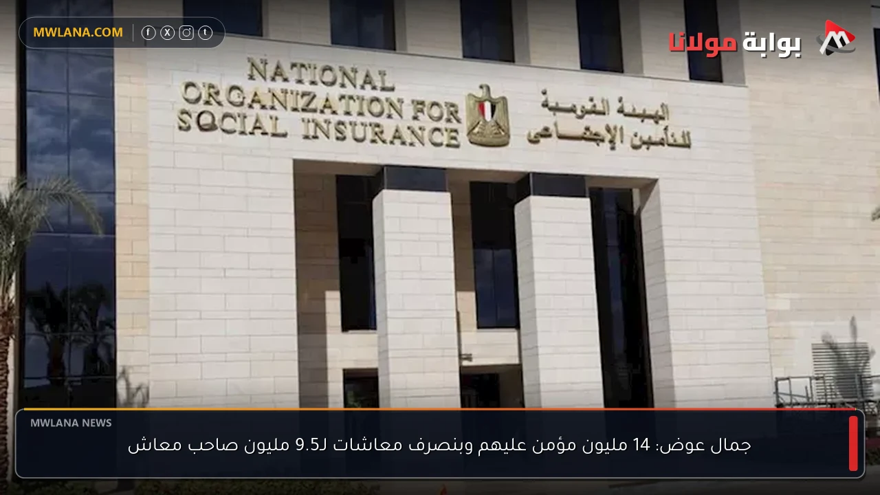 جمال عوض: 14 مليون مؤمن عليهم وبنصرف معاشات لـ9.5 مليون صاحب معاش