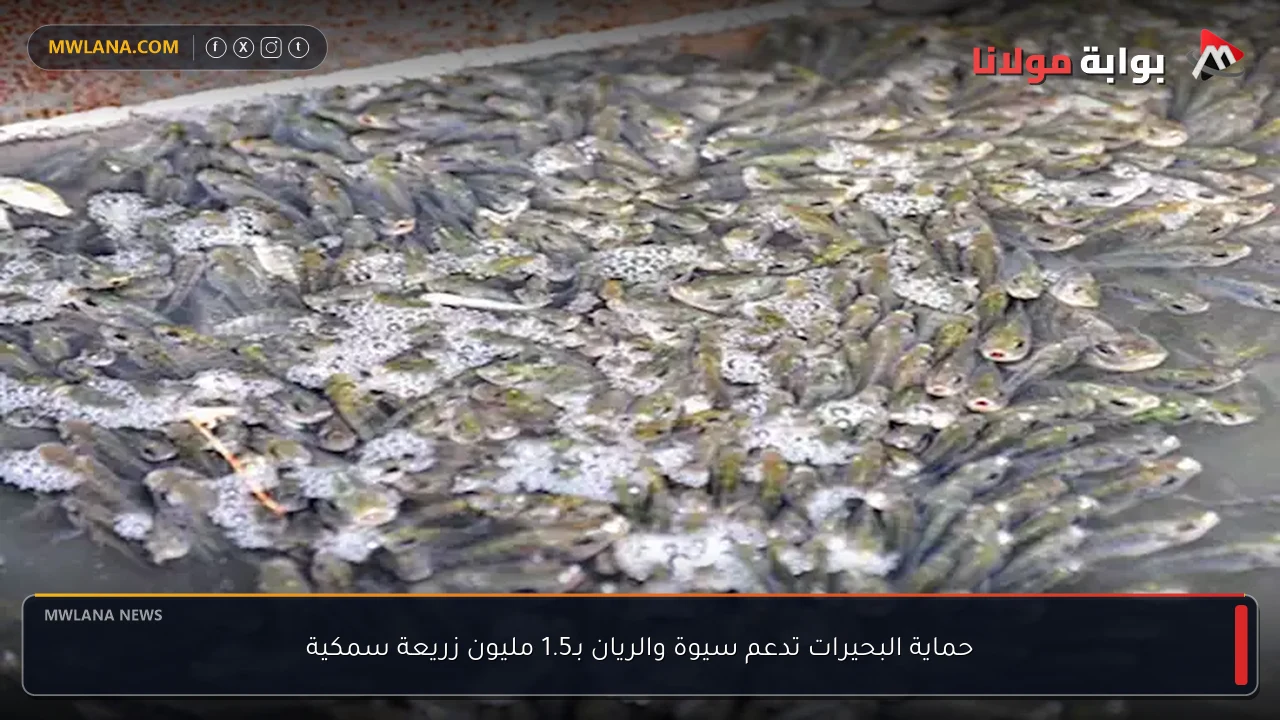 حماية البحيرات تدعم سيوة والريان بـ1.5 مليون زريعة سمكية