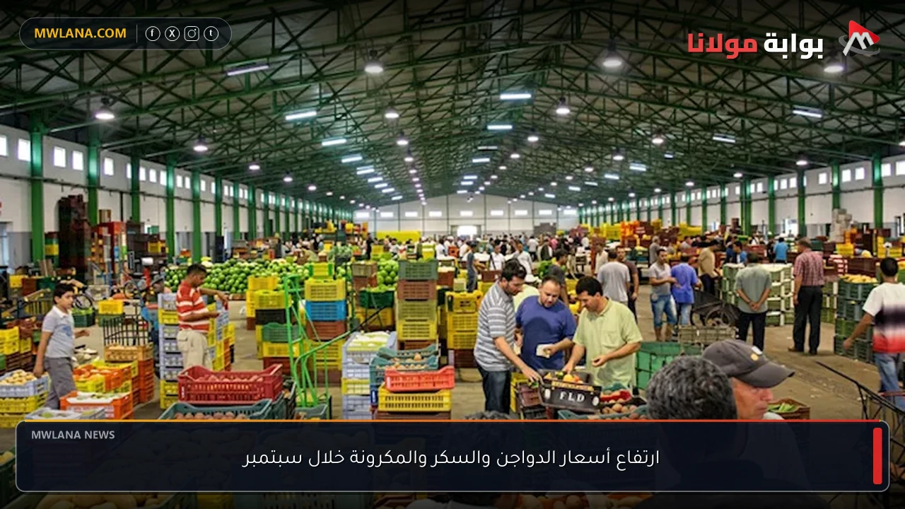 ارتفاع أسعار الدواجن والسكر والمكرونة خلال سبتمبر