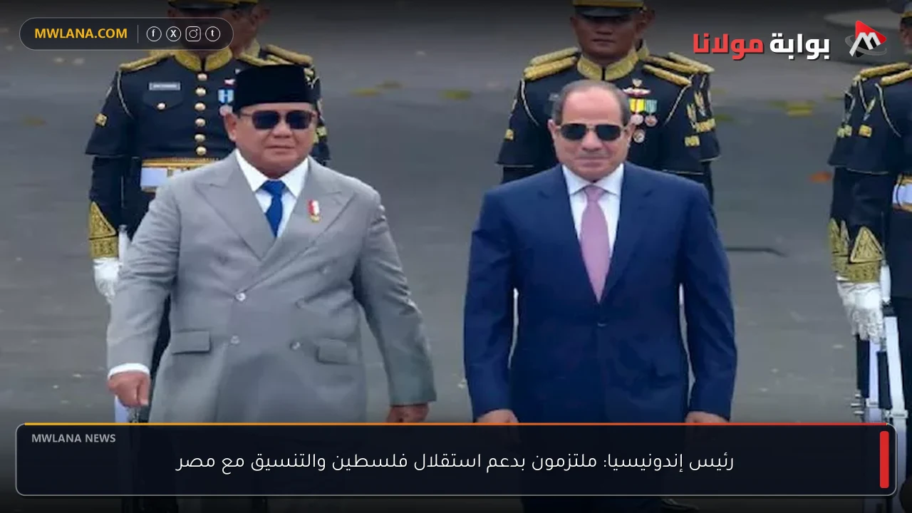 رئيس إندونيسيا: ملتزمون بدعم استقلال فلسطين والتنسيق مع مصر