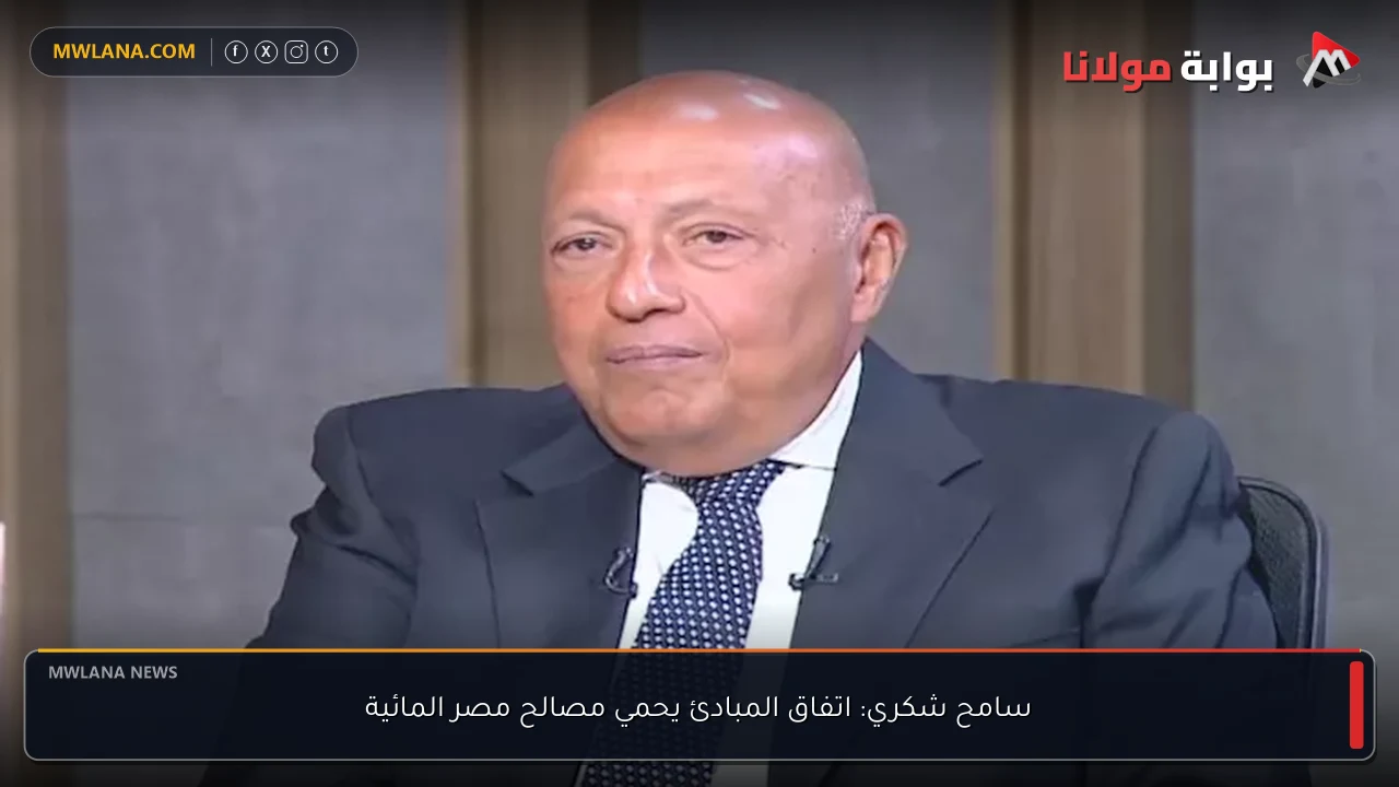 سامح شكري: اتفاق المبادئ يحمي مصالح مصر المائية
